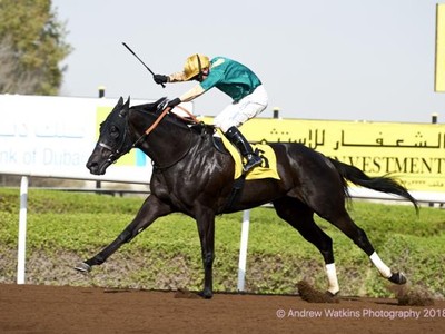 Review: Jebel Ali Sprint (L) and Jebel Ali Stakes (L) Image 2