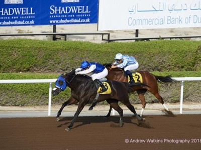 Review: Jebel Ali Sprint (L) and Jebel Ali Stakes (L) Image 1