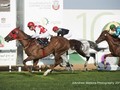 Abu Dhabi Equestrian Club Gold Cup Leads Sunday Action