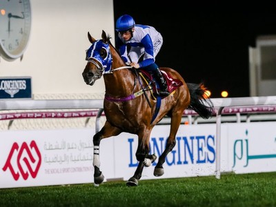 Review: Day Two - HH the Emir’s Sword Racing Festival Image 3