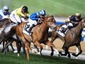 Preview: Mailshot highlights Today's Race Card At Meydan