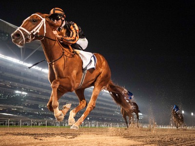 Review: Gr.3 UAE Oaks racemeeting Image 1