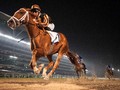 Review: Gr.3 UAE Oaks racemeeting