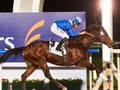 Preview: Gr.1 Maktoum Challenge R3