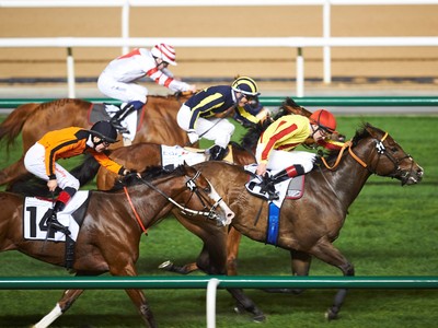 Preview: Nad Al Sheba Turf Sprint Image 3