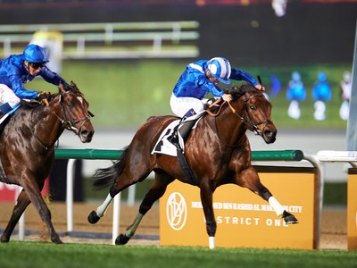 Preview: Nad Al Sheba Turf Sprint Image 2