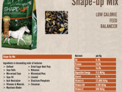 Vitamins and Minerals For Optimum Racehorse Health Image 3