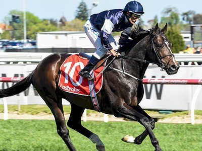 Preview: Gr1 Australian Cup Image 3