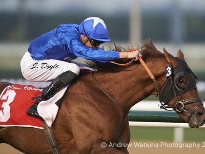 Review: Super Saturday at Meydan Race Course Image 2