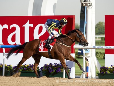 Review: Super Saturday at Meydan Race Course Image 4