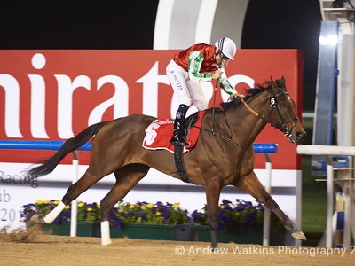 Review: Super Saturday at Meydan Race Course Image 1