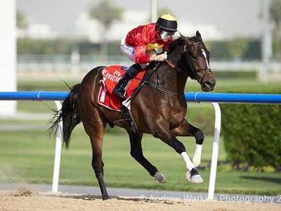 Review: Super Saturday at Meydan Race Course Image 3