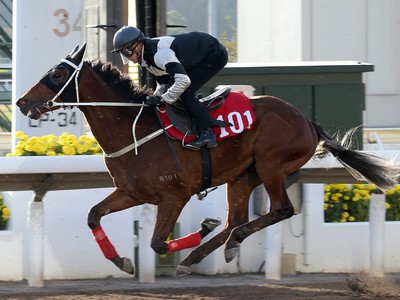 Preview: Hong Kong Derby 2018 Image 2