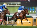 Preview: 2018 Al Quoz Sprint