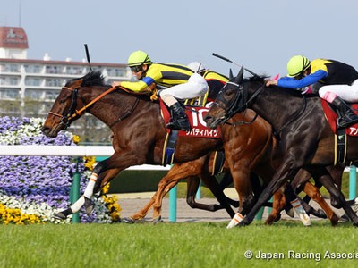 Preview: Gr.1 Oka Sho (Japanese 1000 Guineas) Image 2