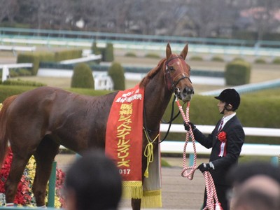 Preview: Gr.1 Oka Sho (Japanese 1000 Guineas) Image 1