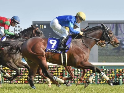 Preview: Gr.1 Chairman’s Sprint Prize (Sha Tin, Hong Kong, U ... Image 5