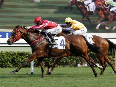 Preview: Gr.1 Chairman’s Sprint Prize (Sha Tin, Hong Kong, U ... Image 3