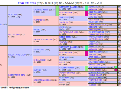 Preview: Gr.1 Audemars Piguet QEII Cup (2000m Sha Tin, Hong  ... Image 9