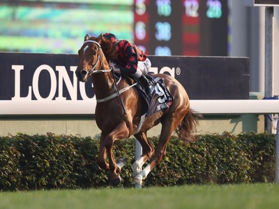 Preview: Gr.1 Audemars Piguet QEII Cup (2000m Sha Tin, Hong  ... Image 5