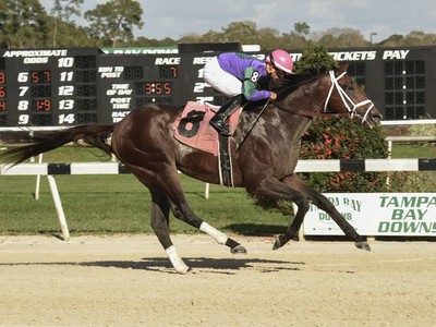 Preview: The 2018 Kentucky Derby Image 1