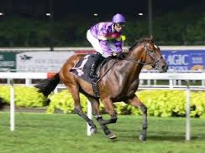 Preview: Gr.1 Lions City Cup (Singapore) Image 1