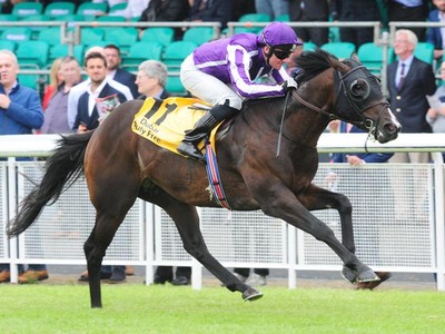 Preview:Irish 2,000 Guineas Image 4