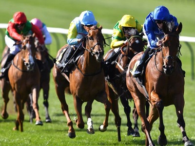 Preview: Irish 1,000 Guineas Image 2