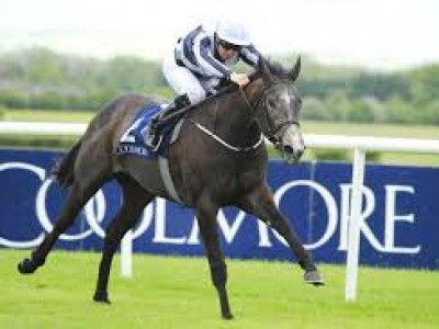 Review: Irish 1,000 Guineas Image 1