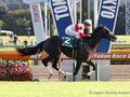 Preview: Gr.1 Tokyo Yushun Japanese Derby