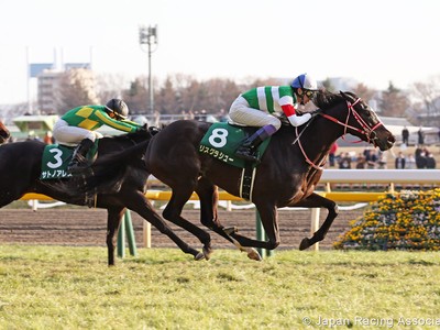 Preview :Gr.1 Yasuda Kinen Image 6