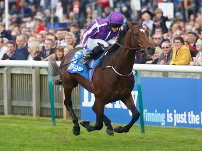 Review: Kew Gardens Flowered For The Queens Vase Image 1