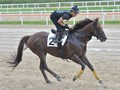 Review: Keeneland Korea Sprint 2018