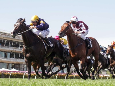 Review: G.1 Makybe Diva Stakes 2018 Image 1