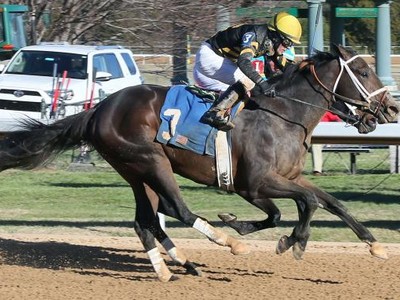 Preview: G.1 Pennsylvania Derby 2018 Image 2