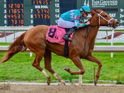 Preview: G.1 Cotillion Stakes 2018 Image 2