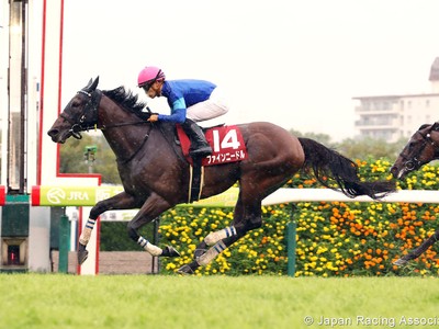 Preview - Gr.1 Sprinter Stakes (Japan) 2018 Image 1