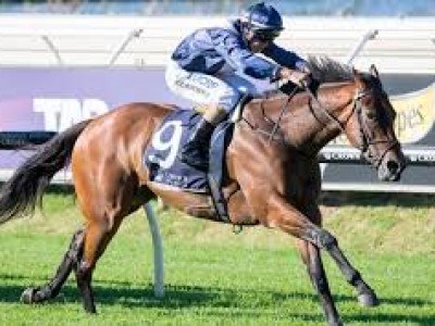 Kennewell's Charge Viddora May Gain Entry To Everest Image 1