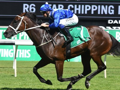 Grand Lady Winx and Her 4th Cox Plate Run Image 1