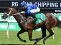 Grand Lady Winx and Her 4th Cox Plate Run