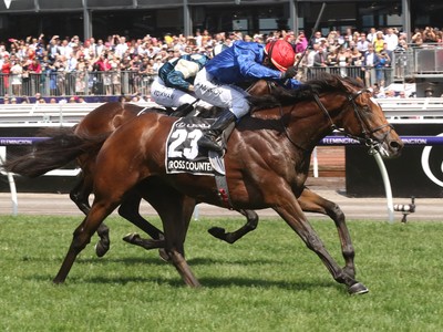 Review: Gr.1 Melbourne Cup 2018: (Results &amp; Analysis, Race V ... Image 1