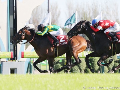 Preview: Gr.1 Japan Cup ( Horses, Where, When, Race Info, 20 ... Image 2