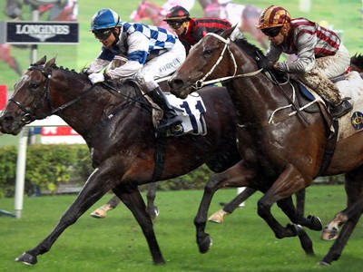 Trifecta Preview Gr.1 Longines Hong Kong Cup Including Full