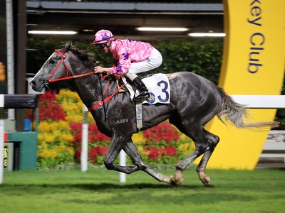 Preview: Gr.1 Hong Kong International Sprint Image 1