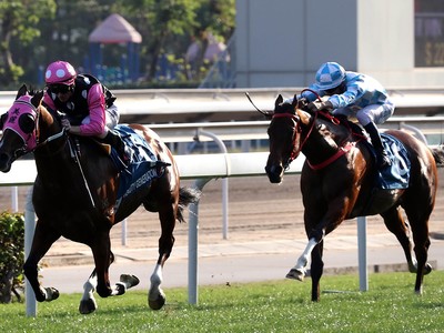 Review: Gr.1 Stewards Cup ( Horses, Analysis, Racecard, 2019 ... Image 1