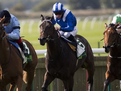 Review: Gr.3 Firebreak Stakes, Gr.2 Meydan Sprint &amp; Gr.2 Bal ... Image 1