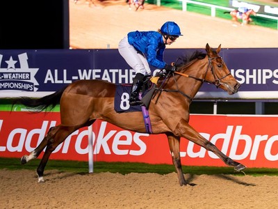 Review: Gr.3 UAE Oaks ( Horses, Analysis, Racecard, 2019 Res ... Image 2