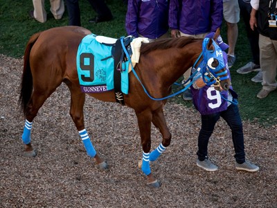 Gunnevera Gunning For Dubai World Cup 2019 Image 1