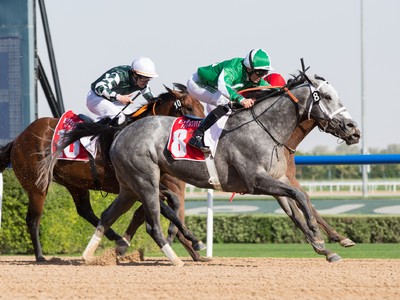 Preview: Gr.1 Dubai Golden Shaheen 2019 ( Horses, Analysis,  ... Image 2