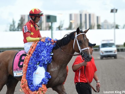 Todd Pletcher: Are We Audible At Meydan? Image 1